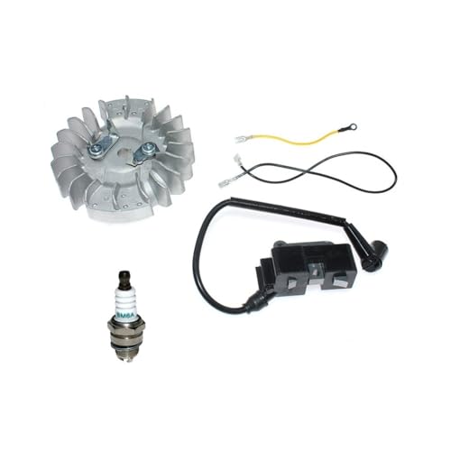 Bobina de encendido y volante de motosierra CS2165 CS2171 arranque motor parte 503921802