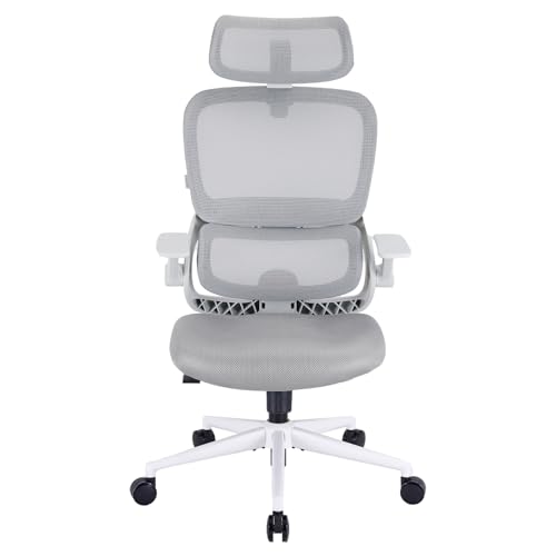 SIHOO Cadeira de escritório B100 SE, cadeira de mesa de espuma viscoelástica macia com suporte lombar adaptável e apoios de braço 2D, cadeira de computador de inclinação de 135° para escritório em