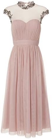 Little Mistress Womens/Ladies Mink Jewel Mesh Midi Dress