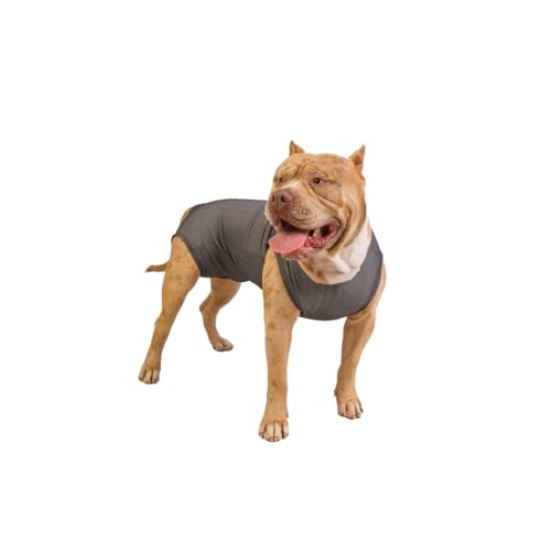 LUVY PET, Roupa Pós Cirúrgica Unissex UV Castração Cães Grafite Tamanho:9