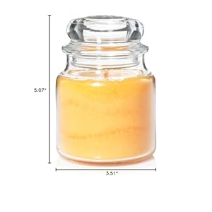 Yankee candle jar middle mango peach salsa yssmps  urban country home decor