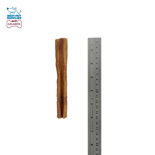 Image of GigaBite Bully Sticks for Dogs All Natural Beef Pizzle Dog Chews, Odor & Rawhide Free Dog Treats, Long Lasting High Protein Chews Digestible Dental Dog Treat - Sticks (Premium 6 inch), Pack of 8