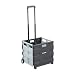 ECR4Kids MemoryStor Universal Rolling Cart