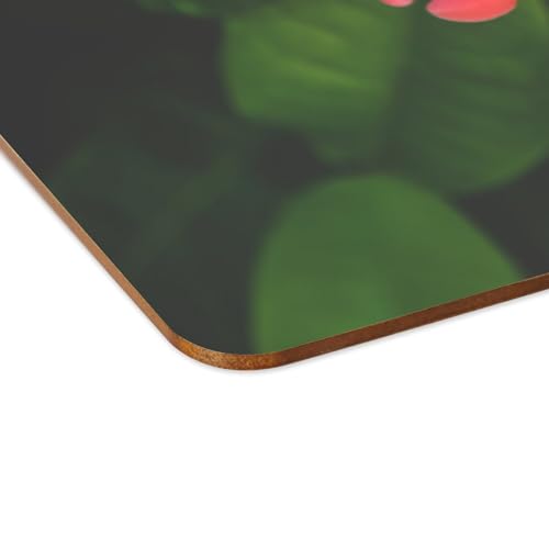 Sets de table souples en liège avec finitions fleurs de Red Ixora