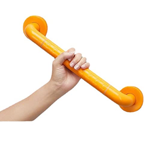 Rampe de toilette pour personnes âgées et barre de maintien pour douche