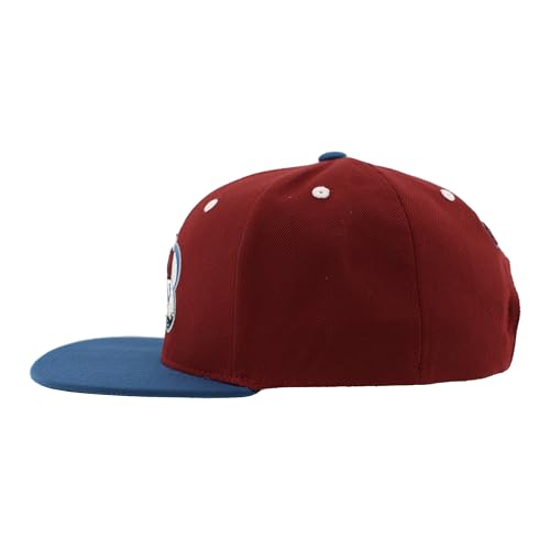 Image of ZHATS NHL Unisex-Adult NHL Officially Licensed Adjustable Snapback Hat Flat Bill Z11 Icon Two Color