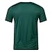 Nike Mens Team Legend Short Sleeve Crew T-Shirt (as1, Alpha, l, Regular, Regular, Gorge Green)