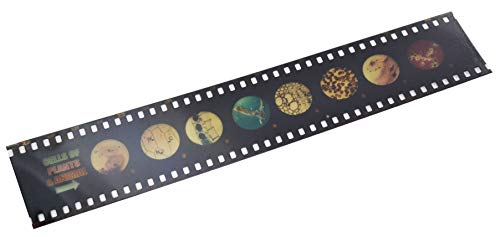 Image of EISCO 2 Piece Micro-Slide Viewer & Viewer Set - Includes One Economy Microscope & Slide Strip - Easy to Use - A Great Introduction Kit for Microscopy and at Home Learning