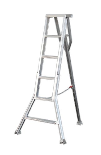 31ipog40t3L.jpg