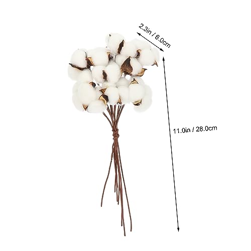 Set de ramo de flores secas de algodón para decoración miniatura 2