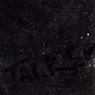 Talker by US Maple (1999-06-08)