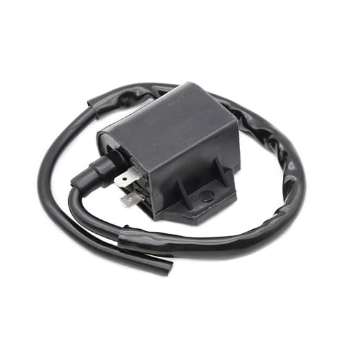 Bobinas de encendido para Suzuki Burgman 2007 y AN125 con CDI