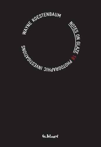 Notes on Glaze: 18 Photographic Investigations By Wayne Koestenbaum