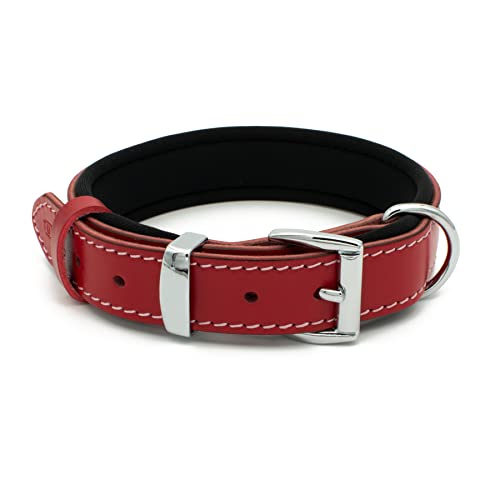 Tuberk Vegetable-Tanned Leather Dog Collar For Large Dogs - Heavy Duty And Luxury Design Dog Collars (Xs: 1” Wide For 14.5”-17.5” Neck, Red) #TOP9