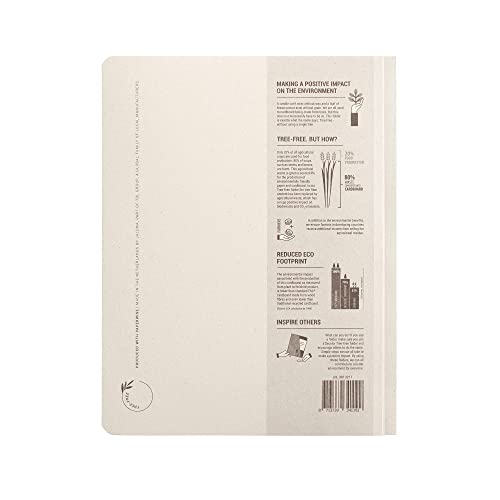 Jalema 3813211- Tree Free Schnellhefter A4 mit Heftstreifen (Packung mit 10 Stück), Beige natur