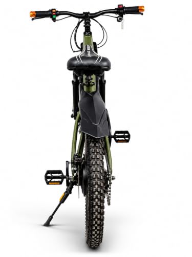Image of MTNS.ev Garud | Electric Cycle | 250W 36V BLDC Motor | 10Ah Lithium Battery | 22 km Range | 80 Kg Load | 27 inch Tyre | Multicolour