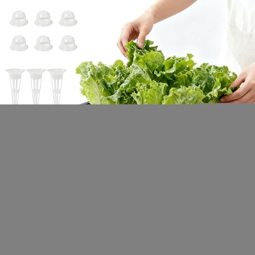 水耕栽培育苗箱 - コンパクトセット 家庭菜園,水耕育苗ボックス 植物コンテナ,アパートのバルコニー、花壇、ホテル、果物、レタス、花用