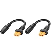 Amazon.com: GINTOOYUN 2 PCS XT60 to 8mm Adapter Cable DC8020