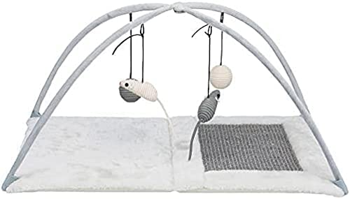 TRIXIE Tapis Griffoir pour Chat, 60cm X 33cm X 42cm pour Chat