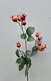 artplants.de Kunstzweig Kartoffelrose LOPUNY mit Hagebutten, orange, 70cm - Deko Hagebuttenzweig