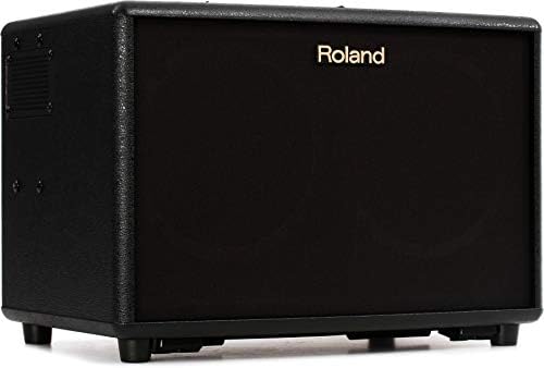 Amazon.com: Roland AC-60 Acoustic Chorus Guitar Amplifier with 