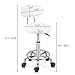 Bonnlo Adjustable Rolling Hydraulic Swivel Chair Stool with Backrest, 360-Degree Rolling Wheel, for Therapist Beauty Spa Hairdressing Massage Manicure Tattoo, White