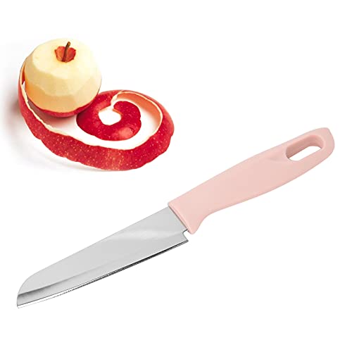 Gsycle Fruit Cutting Knife, Kitchen Small Paring Knife Portable Stainless Steel Fruit Melon Cutter with Sleeve for Home Peeling Fruits (Pink)