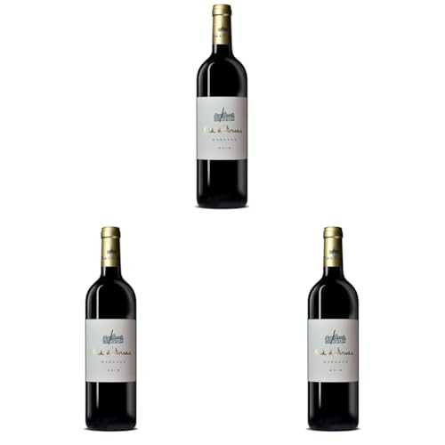 Castel Chateaux Grands Crus - Kid d'Arsac - Vin Rouge - AOP Margaux - Millésime 2019-1 bouteille x 75cl (Lot de 3) - -21%