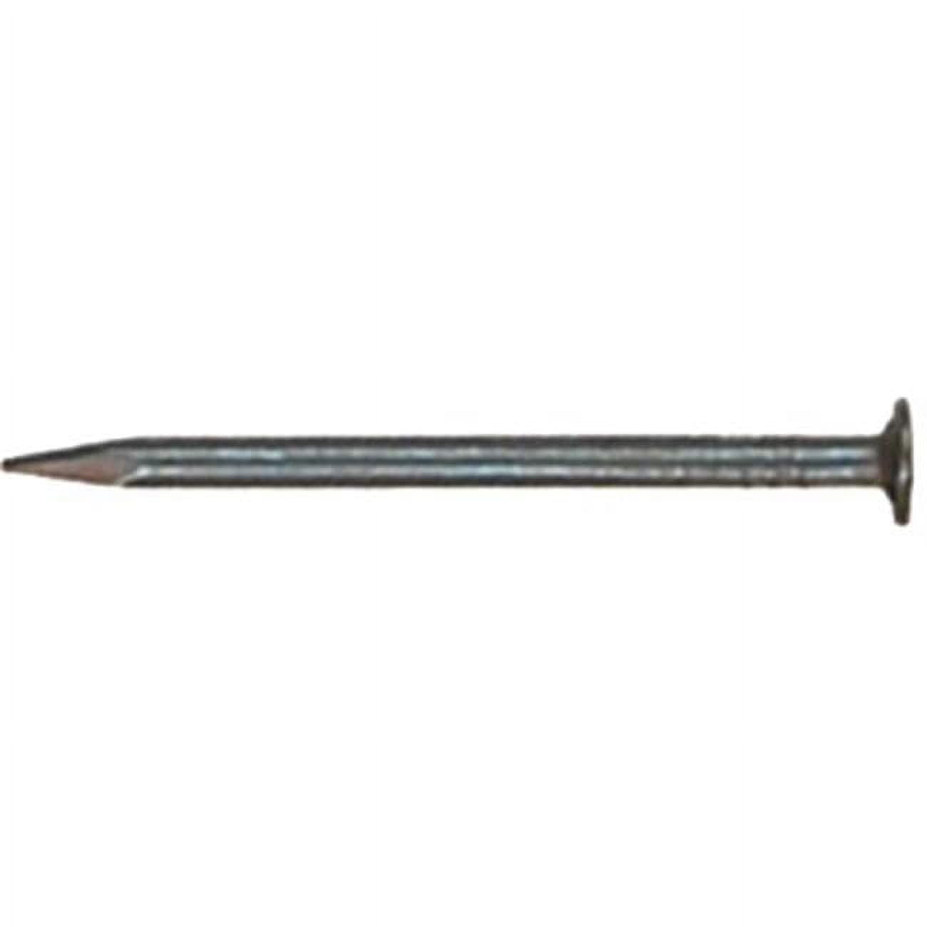 2.5 in. Electro Galvanized Roof Nail 5 lbs