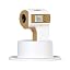 FS-300 (Gold)