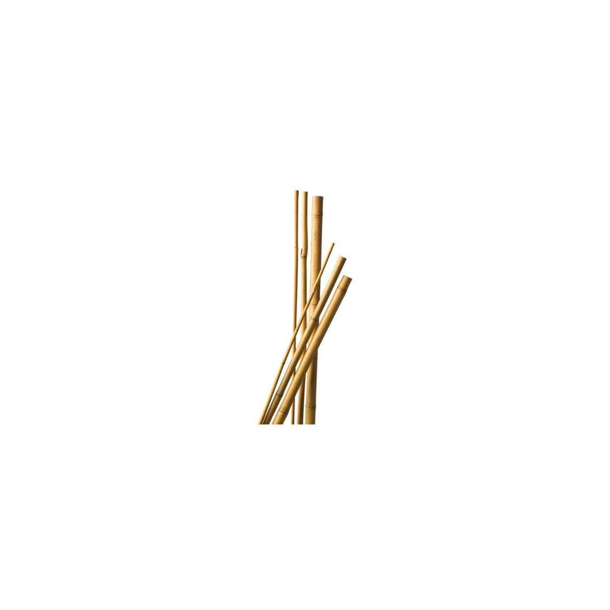 Lot de 9 Tuteurs Bambou 180 cm diam 6-​8 mm