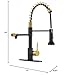 GIMILI Black and Gold Drinking Water Faucet 3 in1 Commercial Style Pull-Down Single Handle Filter Kitchen Faucet for Water Filtration System,Without Water Filtration Device