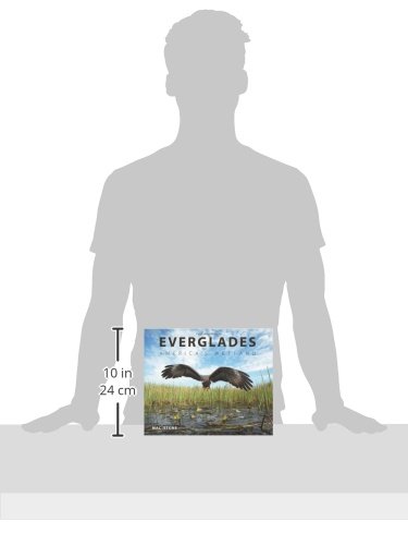 Everglades: America's Wetland #TOP1