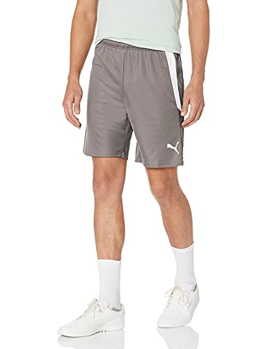 PUMA Men's Teamliga Shorts