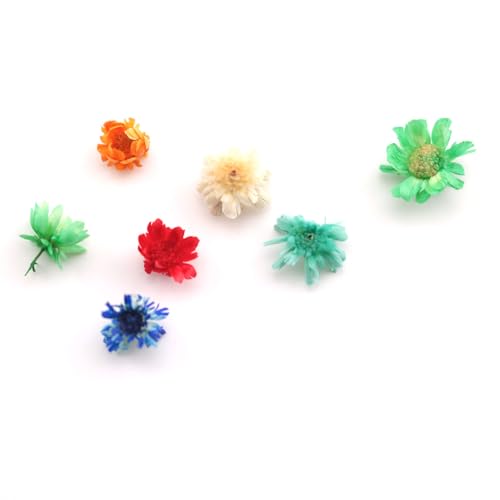 120 piezas de flores secas pequeñas para manualidades miniatura 2