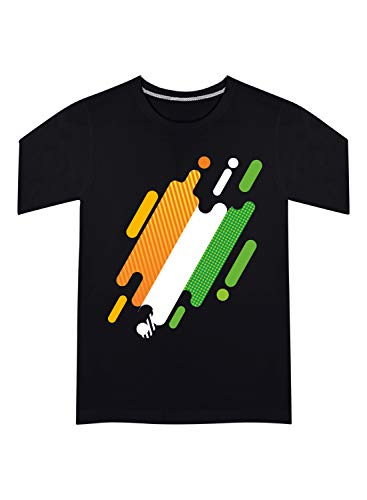 Image of Graphic Printed T-Shirt for Unisex Indian Tricolor Creative Artwork Tshirt | Casual Half Sleeve Round Neck T-Shirt | 100% Cotton | D00049-13
