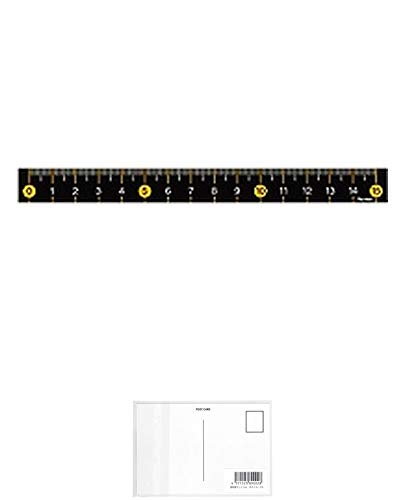 CC XJ[K 15cm CG[ AJR201Y + މhbgR |XgJ[hA