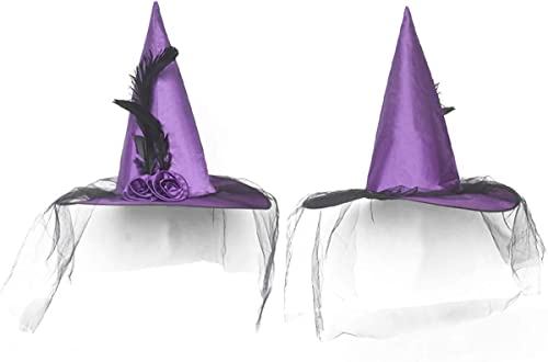 Justotry Magic Master Purple Witch Hat For Halloween Party Hats For Women & Girls Women's Witch Hats With Roses & Feathers(Purple) #TOP4