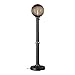 Patio Living Concepts Bronze Globe Floor Lamp