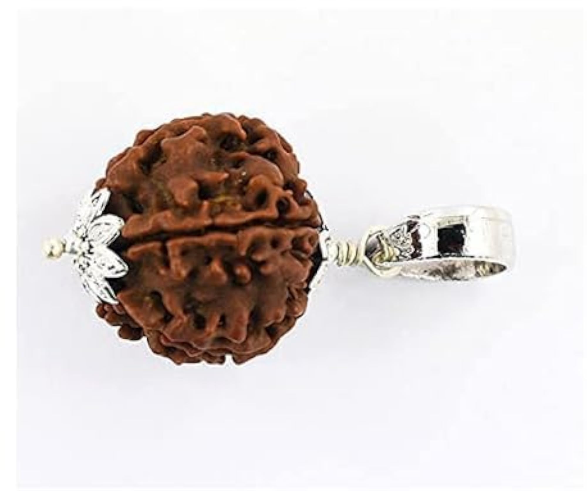 1 Mukhi GOL Dana Rudraksha Pendant, Nepal Arun Valley