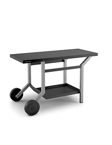 TABLE ROULANTE ACIER NOIR ET GRIS CLAIR L1191XP648XH760MM