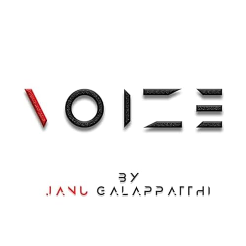 VOIZE cover art