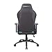NEWSKILL Akeron Silla Gaming