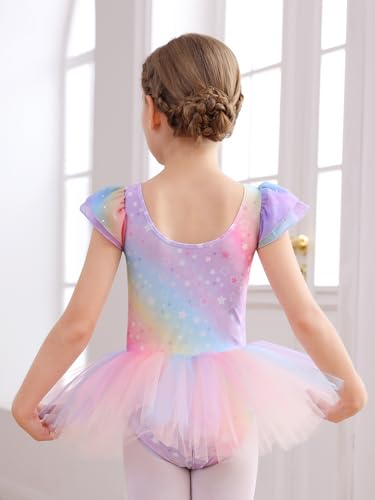 Ballet Leotards for Girls Toddler Dance Leotards Ballet Leotard with Skirt Kids Dance Dress4