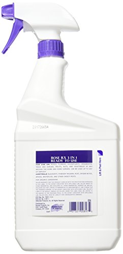 Bonide Rose Rx 3 in 1 1 Qt - Thumbnail 2
