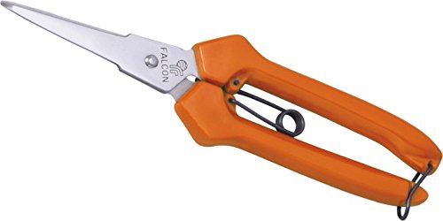 Falcon FTS-808 Steel Thinning Scissors (Multicolor)