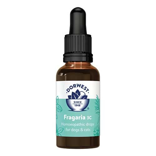 Dorwest Herbs Fragaria 3C Homoeopathic Liquid Remedy for Dogs & Cats - 15ml