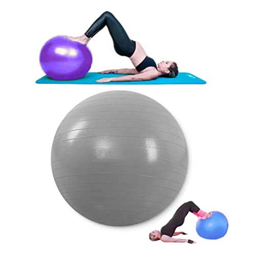Bola Pilates Ginástica Fisioterapia Suiça 55cm 200kg Cores