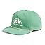 Dimmed Algae/Est 1966 Graphic