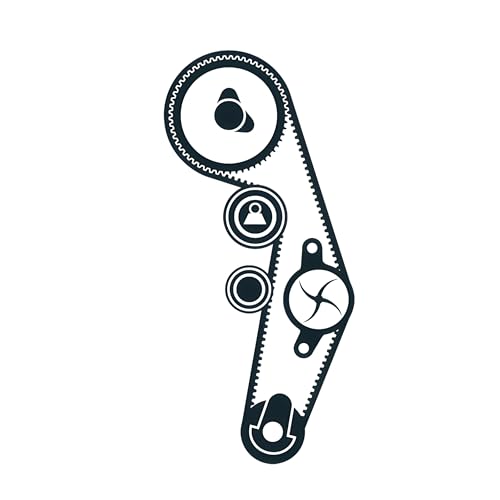 1x SKF Zahnriemensatz inkl. Wasserpumpe